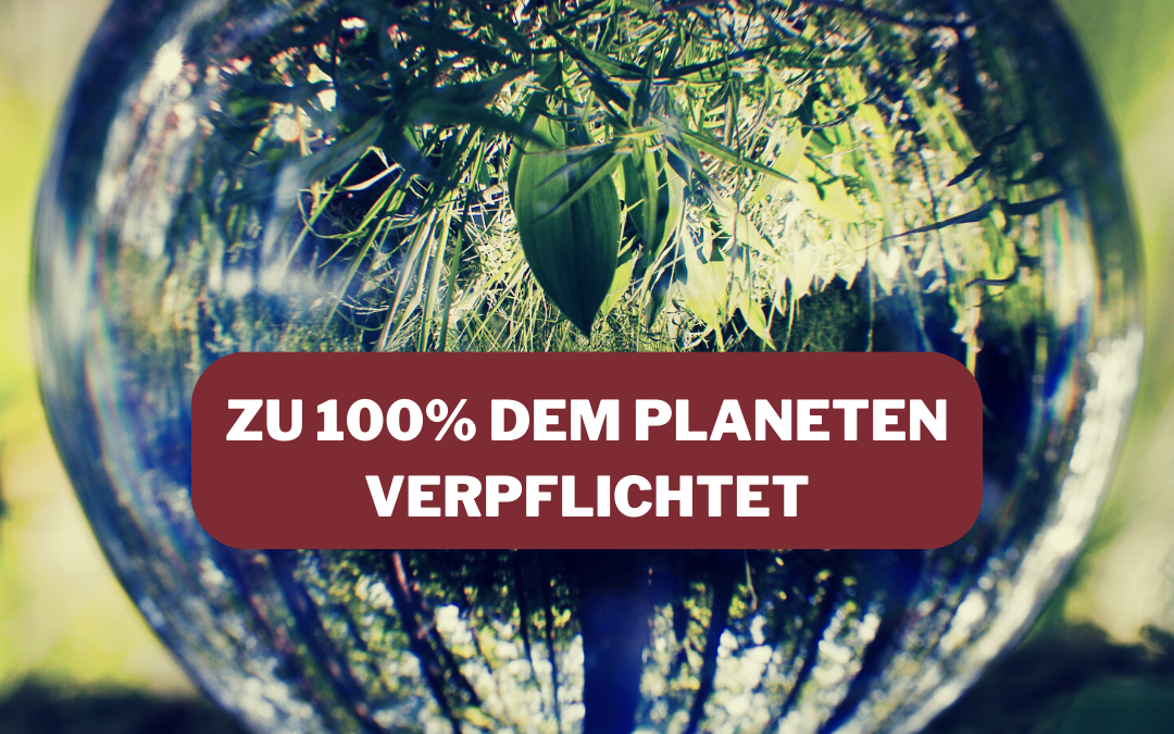 BEISPIELE UNSERER GOGREEN! AKTIVITÄTEN