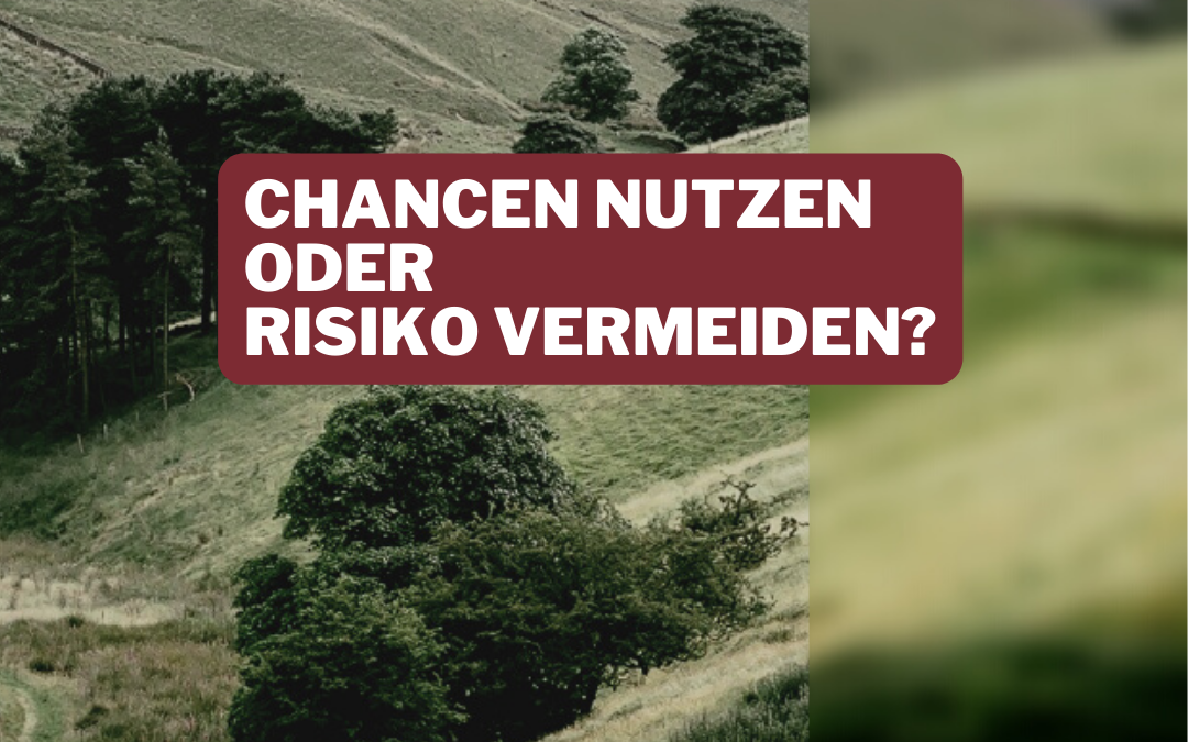 Chancen nutzen oder Risiko vermeiden?